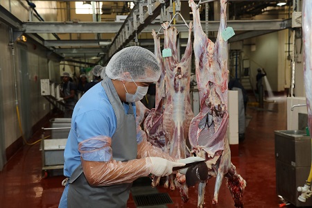 قطاع المسالخ