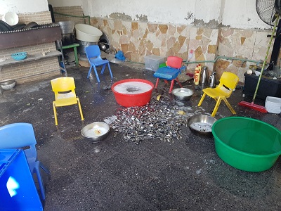 مزاولة أنشطة مخالفة