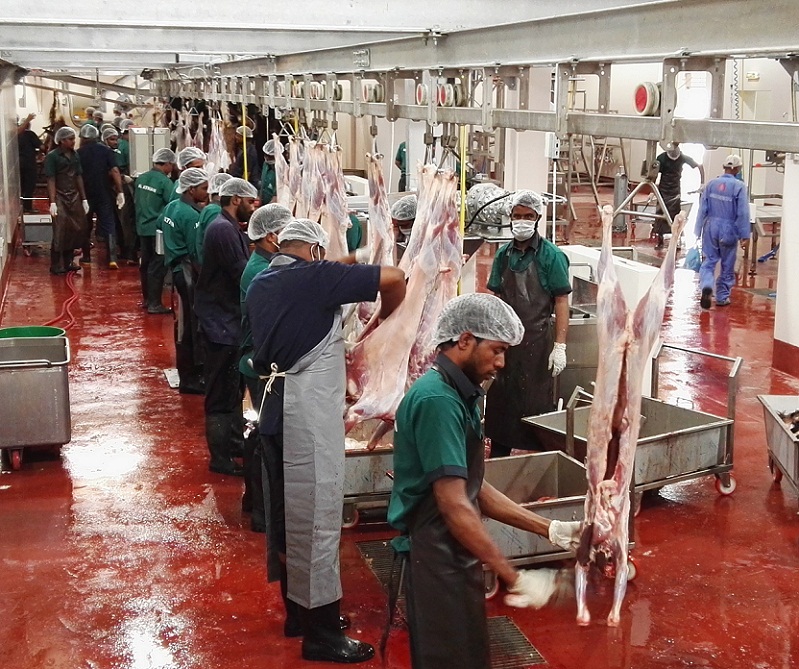 مسالخ بلدية مسقط خلال عيد الأضحى