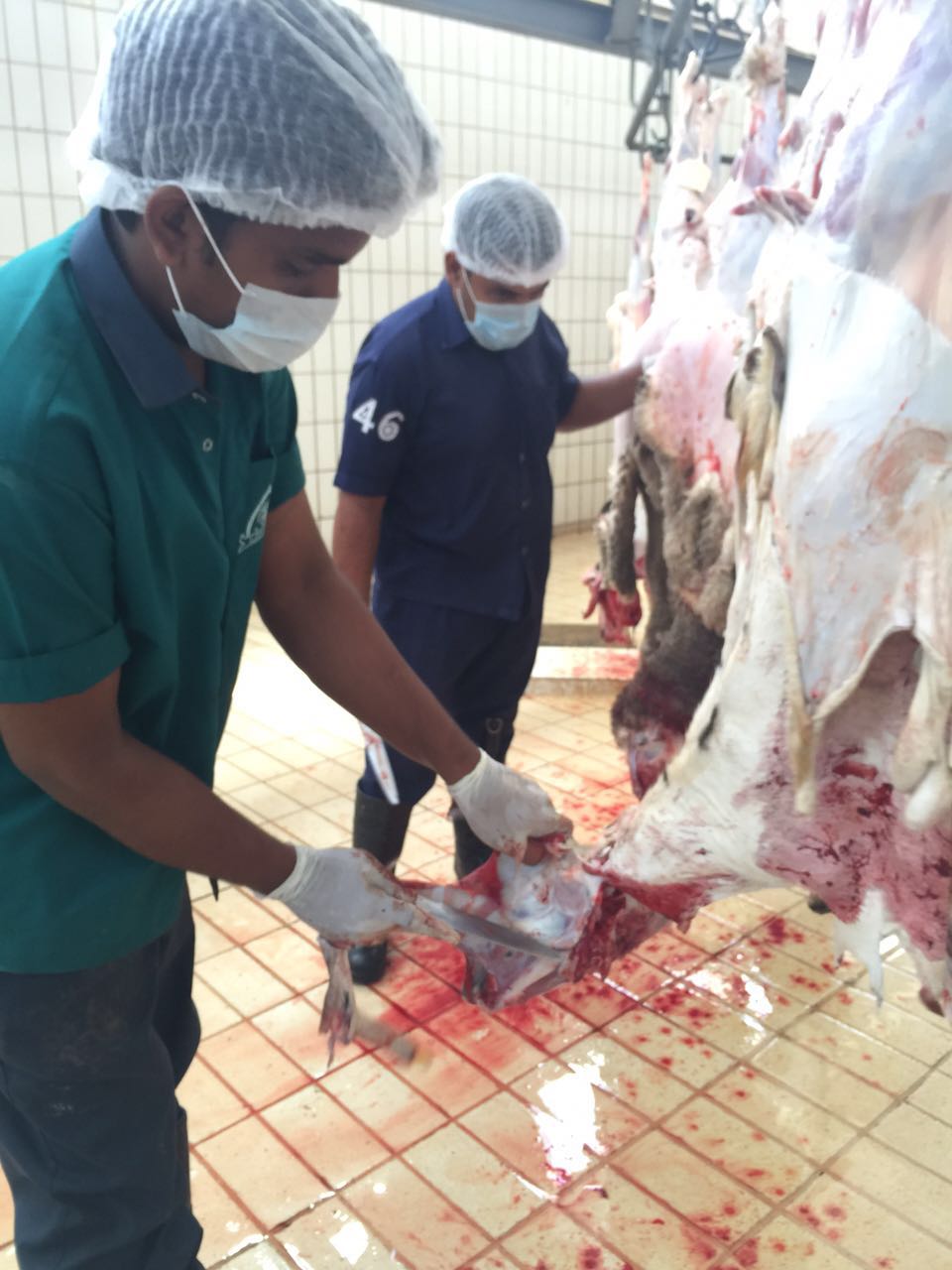 مسالخ بلدية مسقط تنهي استعدادها لاستقبال شهر رمضان