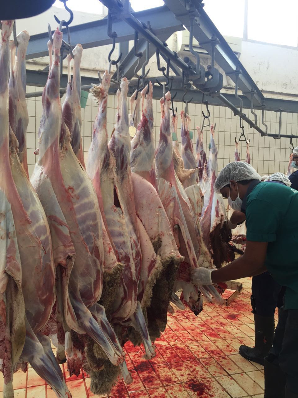 مسالخ بلدية مسقط تنهي استعدادها لاستقبال شهر رمضان