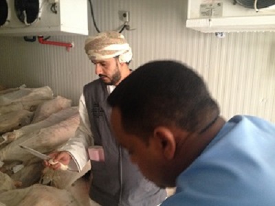 المفتش خلال فحص اللحوم المستورده