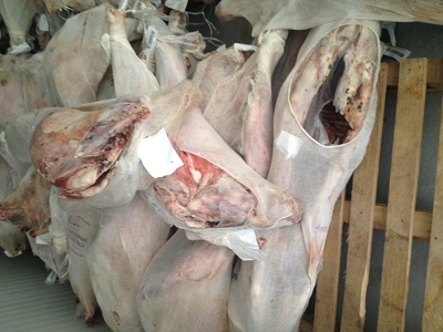 صوره لحوم غير صالحه للاستخدام البشري