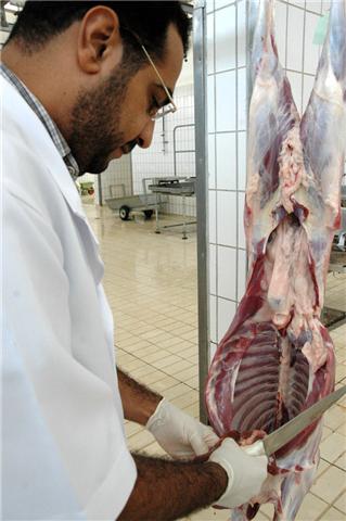 مسلخ البلدية المركزي يكثف حملاته في شهر رمضان